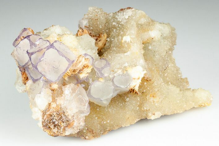 Purple Edge Fluorite Crystal Cluster - Qinglong Mine, China #186887